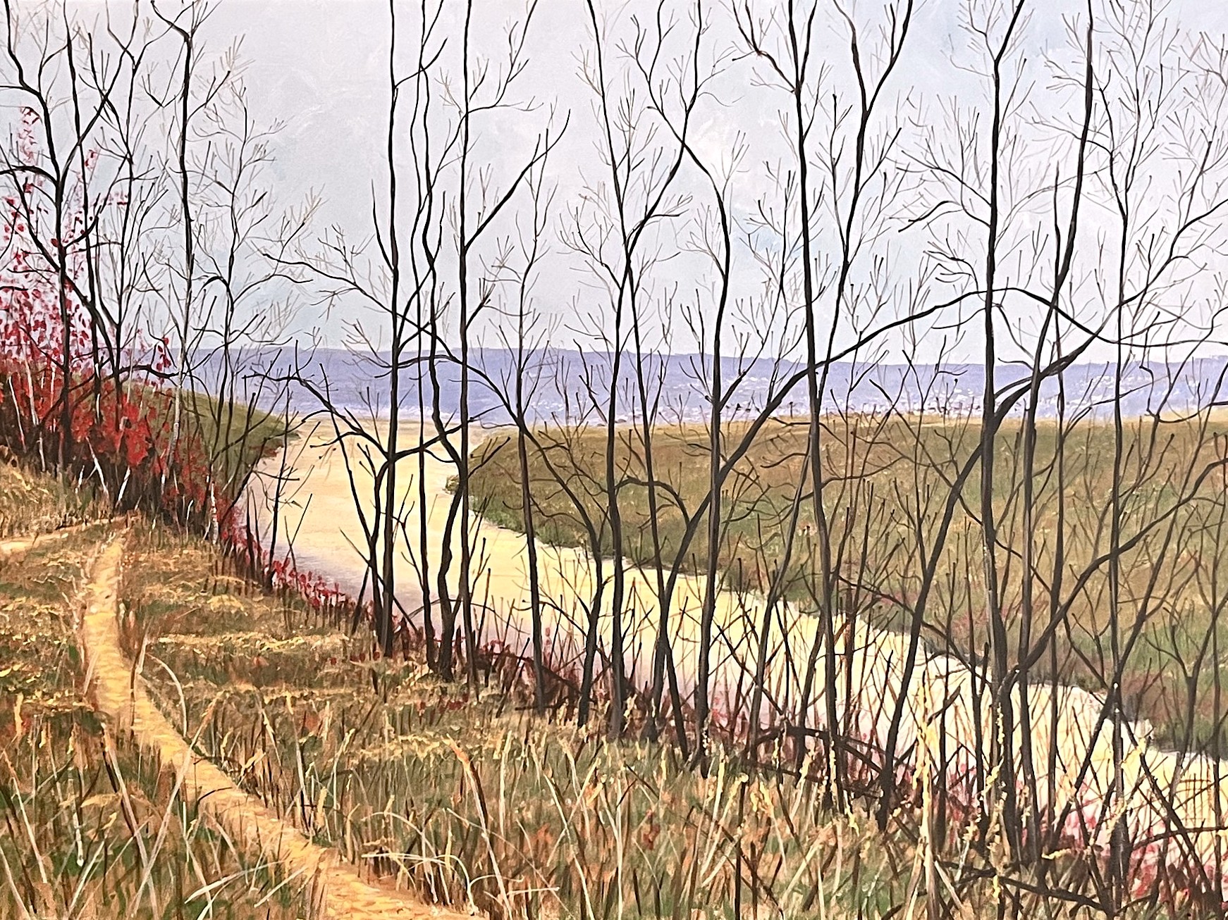 The Paths of Algonquin Park