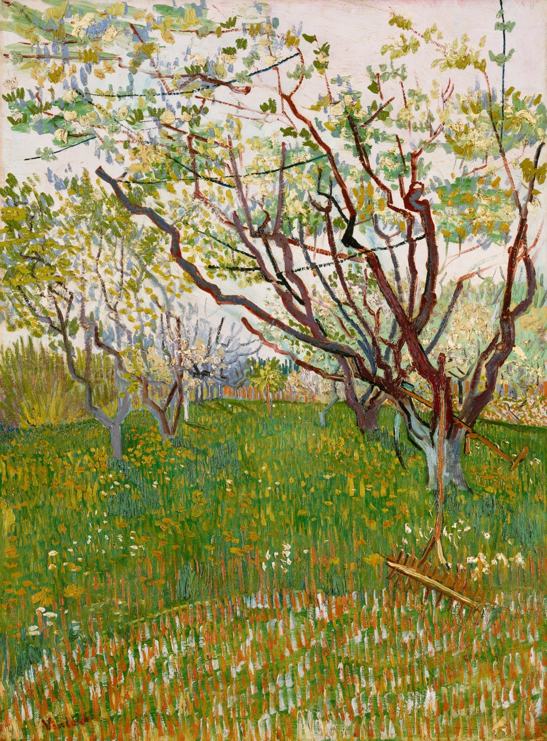 The Flowering Orchard